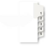 Numeric Tab Dividers