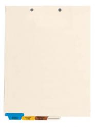 Medical Chart Tab Divider Set - Bottom 4-Tab Set