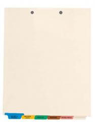Medical Chart Tab Divider Set - 6-Tab Bottom Set