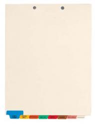 Medical Chart Tab Divider Set - 8-Tab Bottom Set