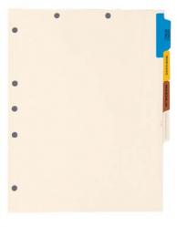 Medical Chart Tab Divider Set - 4-Tab Side Set